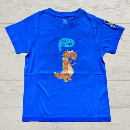 KUCHU Unisex T-Shirt | Dino Mite Print | 8–9 Years | Cotton Fabric | Breathable | Casual Wear | Graphic Tee | Everyday Wear